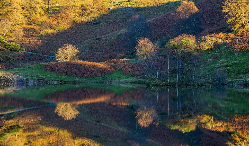 Using reflections in landscape photography - top tips